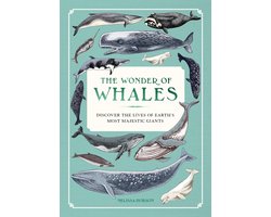 Ocean Wonders-The Wonder of Whales