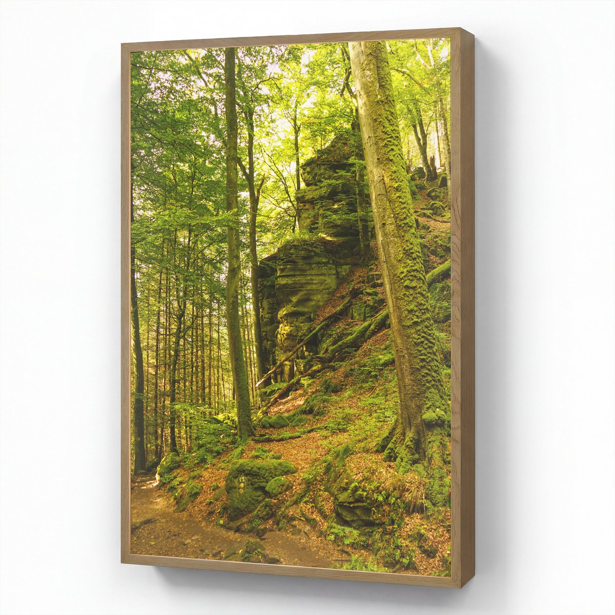 Wandlamp 70x100 cm - Oplaadbaar - Bomen - Steen - Bos - Natuur - Planten - Wandlampen binn