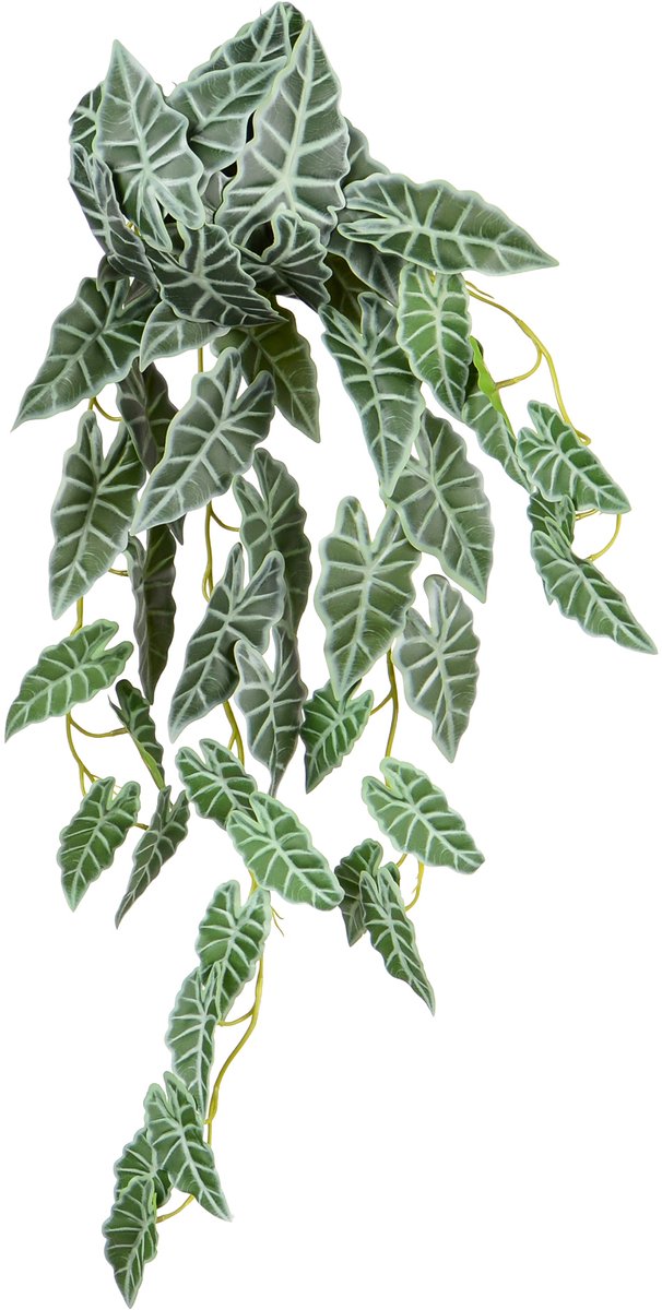 UNUS Kunsthangplant Hangplant Groen Kunstplanten Alocasia 55 cm set van 2 voor Binnen en Buiten Nepplanten Kunst plant