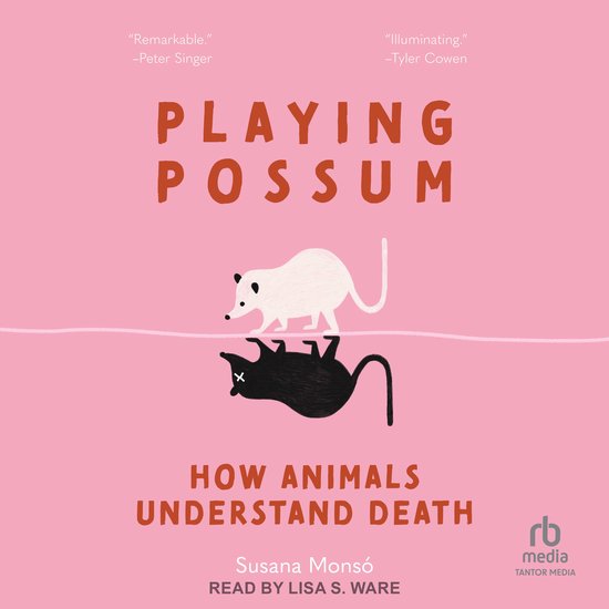 Playing Possum - cover