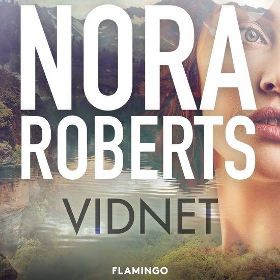 Vidnet - cover