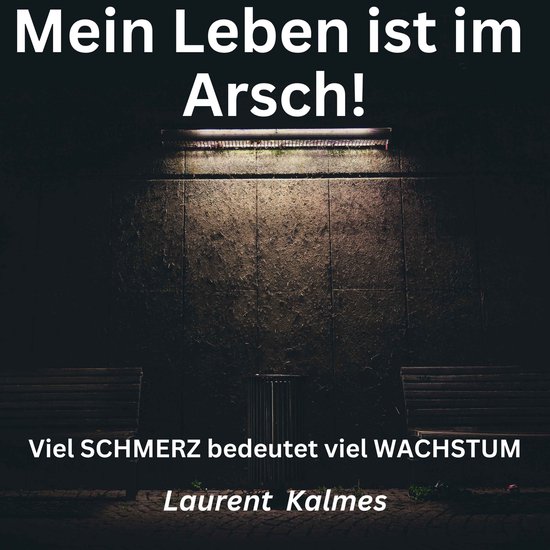 Mein Leben ist im Arsch - cover