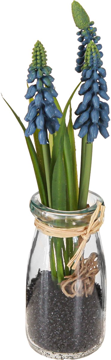 Hyacint kunstparel hyacint blauw in glas H22cm 2st, 2 Stück