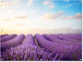 Tuinposter - Tuin - Lavendel - Lucht - Wolken - 120x90 cm - Tuinschilderij - Muurdecoratie - Wanddecoratie - Tuindoek - Buitenposter