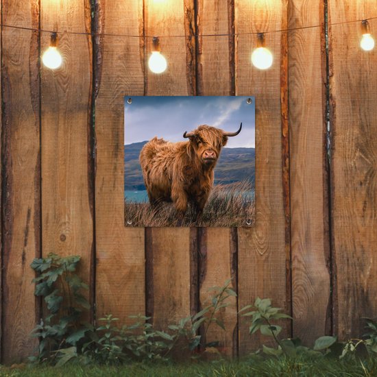 Posters de Posters de jardin Scottish Highlander - Berg - Water - 50x50 cm