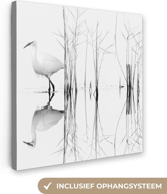 Canvas Schilderij Vogel - Water - Planten - Natuur - 90x90 cm - Wanddecoratie