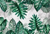 Fotobehang - Vlies Behang - Botanische Jungle Bladeren op Betonnen Muur - 368 x 254 cm