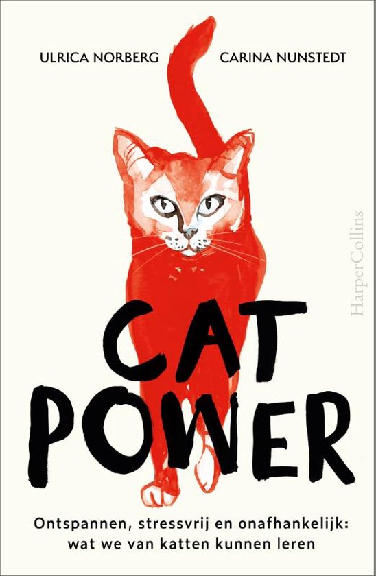 Cat Power - cover