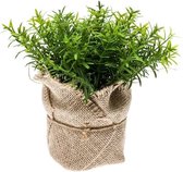 Kunstplanten tijm kruiden groen in pot 16 cm - kleine kunstplantjes/nepplanten / kunstplanten