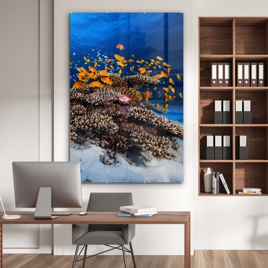 Peinture sur verre - Corail - Poissons - Animaux aquatiques - Oranje - Photo sur verre - Décoration murale - 100x150 cm - Peinture sur verre