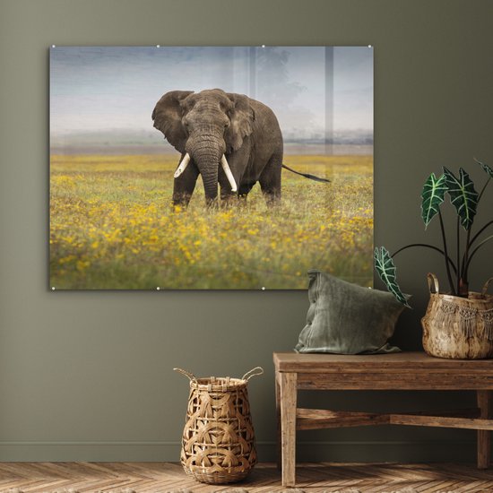 MuchoWow® Peinture sur verre 120x90 cm - Peinture sur verre acrylique - Éléphant - Fleurs - Herbe - Animaux - Nature - Photo sur verre - Peintures