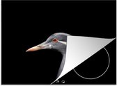 KitchenYeah® Inductie beschermer 71x52 cm - Vogel - Dieren - Portret - Kookplaataccessoires - Afdekplaat voor kookplaat - Inductiebeschermer - Inductiemat - Inductieplaat mat