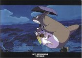Ghibli - My Neighbor Totoro - Nachtwandeling A4 mapje