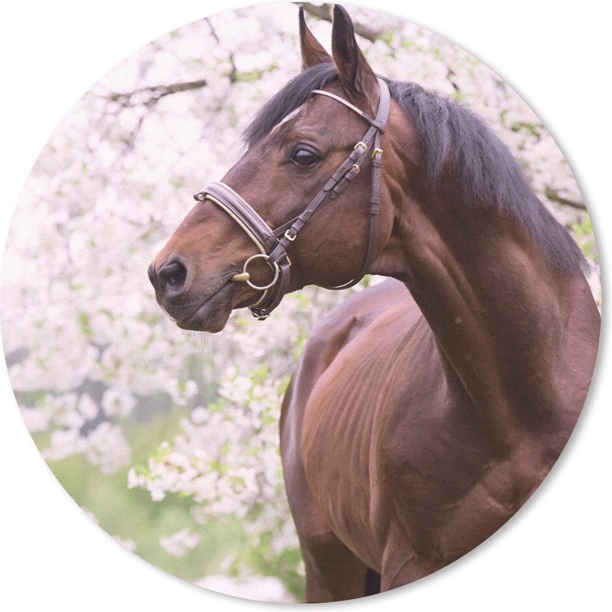Muismat rond 40x40 cm - Mousepad Paard - Sakura - Halster - Ronde muismatten
