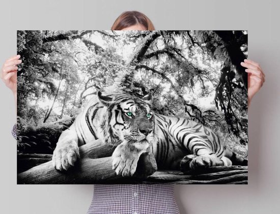 Tigre - Affiche 91,5 x 61 cm