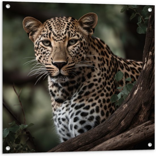Tuinposter – Luipaard Schuilend achter Boomstronk - 80x80 cm Foto op Tuinposter (wanddecoratie voor buiten en binnen)
