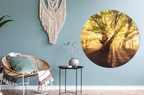 WallCircle - Stickers muraux - Cercle de papier peint - Arbre - Forêt - Soleil - 120x120 cm - Cercle mural - Autocollant - Autocollant de papier peint rond XXL