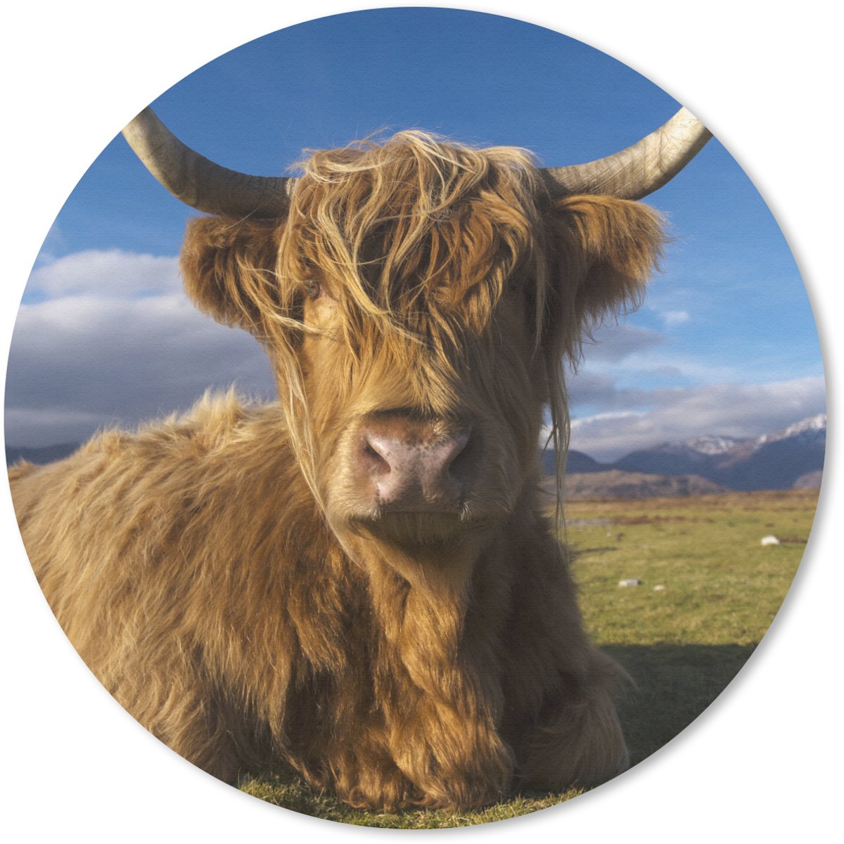 Muismat rond 30x30 cm - Mousepad Schotse Hooglander - Dieren - Gras - Ronde muismatten