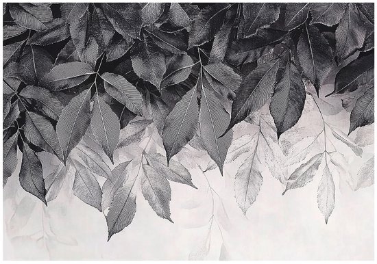Gros plan sur un papier peint noir et blanc de feuilles suspendues avec des lignes fines et un fond flou.