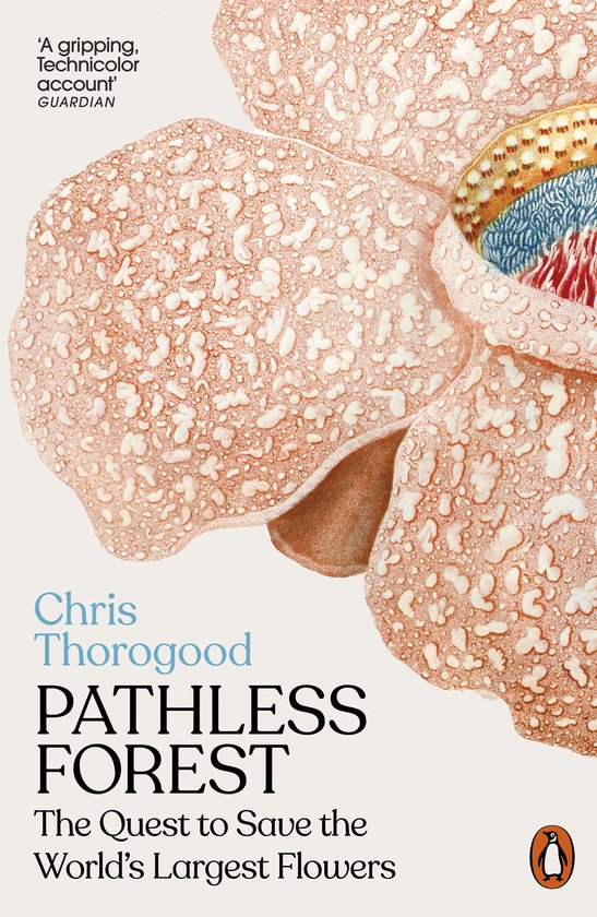Pathless Forest - cover
