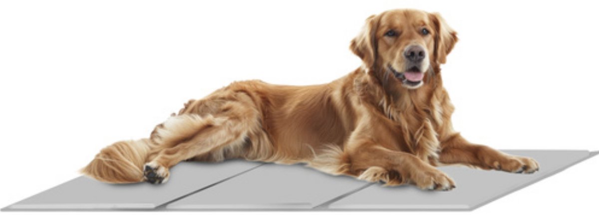 Purlov koelmat hond XXL – gelmat voor verkoeling – ideaal voor zomer & reizen