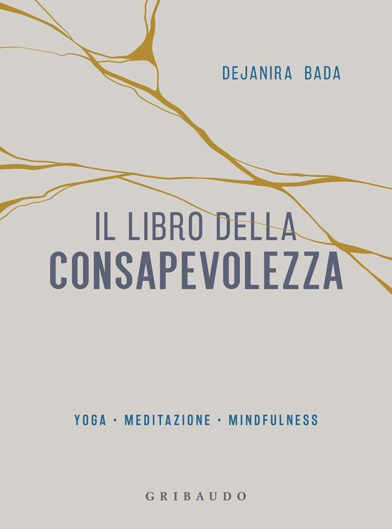 Il libro della consapevolezza - cover