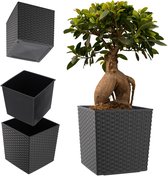 EDA Pot carré Volcania'Up 21 L au meilleur prix sur