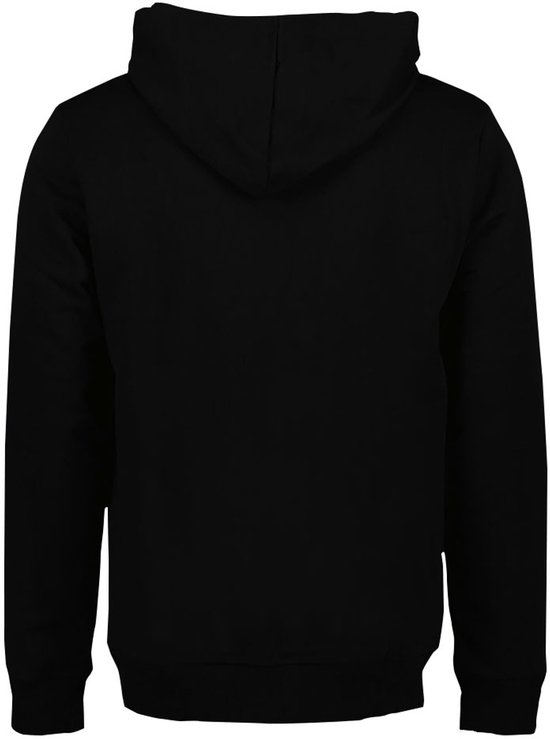 Sweet 16 Hoodie unisex 16 jaar sixteen zestien