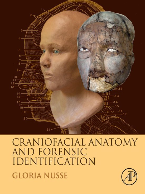 Craniofacial Anatomy and Forensic Identification - cover