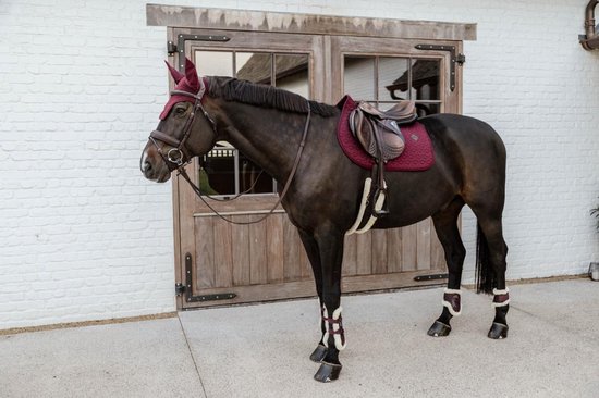 Bruin paard met bordeauxrode outfit: oornetje, zadeldek, strijklappen, peesbeschermers.