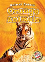 Animal Colors - Orange Animals