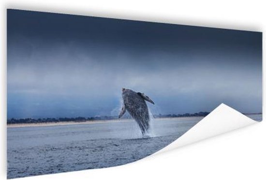 Poster Brede foto van springende walvis - 90x60 cm