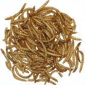 Gedroogde meelwormen 100 gram - set van 4 stuks