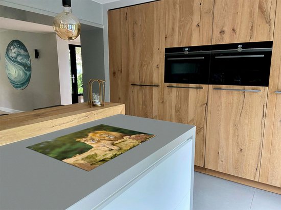 Chefcare Inductie Beschermer Leeuw en Leeuwin - Liefde Koppel - 75x50 cm - Afdekplaat Inductie - Kookplaat Beschermer - Inductie Mat