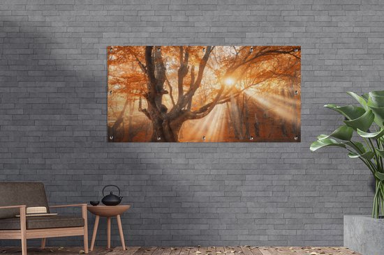 Jardin - Poster jardin - Arbre - Automne - Feuilles - 200x100 cm - Tableau jardin - Toile jardin - Poster extérieur