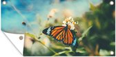 Tuinposter - Vlinder - Bloemen - Wit - Zon - Lente - Tuindoeken voor buiten - 60x30 cm - Tuindoek