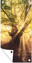 Tuinposter - Boom - Tuin - Bos - Zon - Wanddecoratie - 30x60 cm - Tuindoek - Tuindecoratie