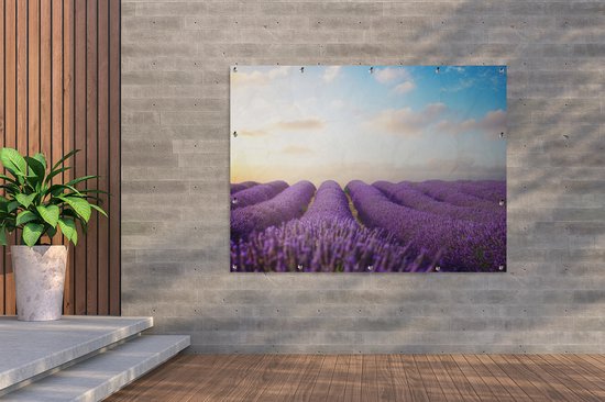 Tableau jardin - Jardin - Lavande - Ciel - Nuages - 160x120 cm - Tableau jardin - Toile jardin - Affiche extérieure