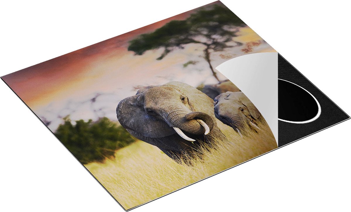 Chefcare Inductie Beschermer Groep Olifanten in het Wild - Kudde - 60x50 cm - Afdekplaat Inductie - Kookplaat Beschermer - Inductie Mat