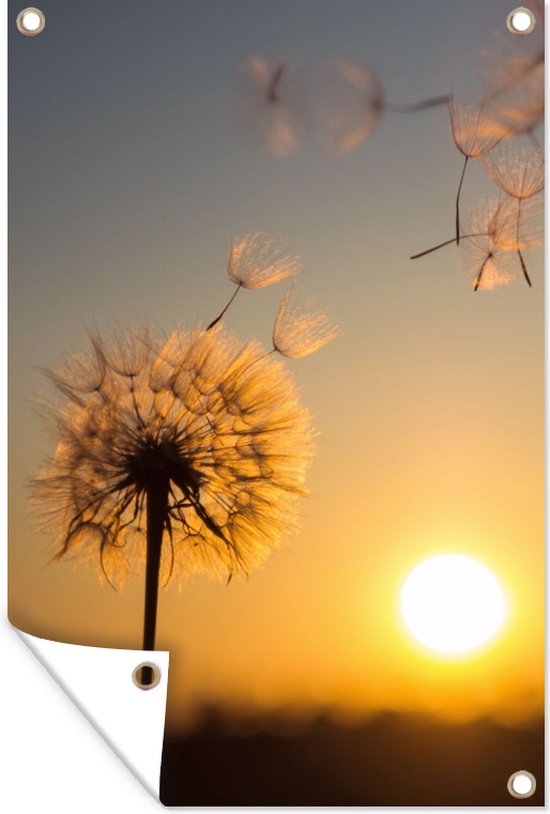 Tuinposter - Paardenbloem - Pluizen - Bloemen - Zon - Geel - 40x60 cm - Wanddecoratie buiten - Tuin - Muurdecoratie - Tuindecoratie - Tuindoek - Buitenposter