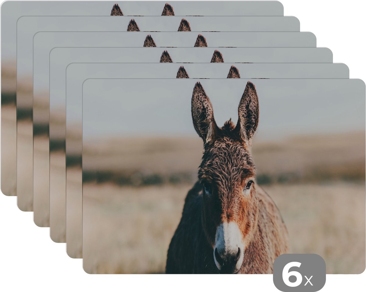 Placemats - Dieren - Ezel - Gras - Portret - Keuken - Onderlegger - 45x30 cm - 6 stuks