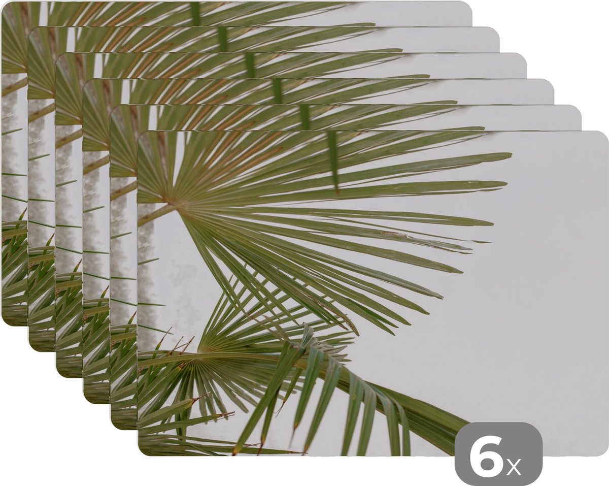 Placemats - Palm - Bladeren - Groen - Onderleggers rond - Onderlegger - 45x30 cm - Placemat - 6 stuks
