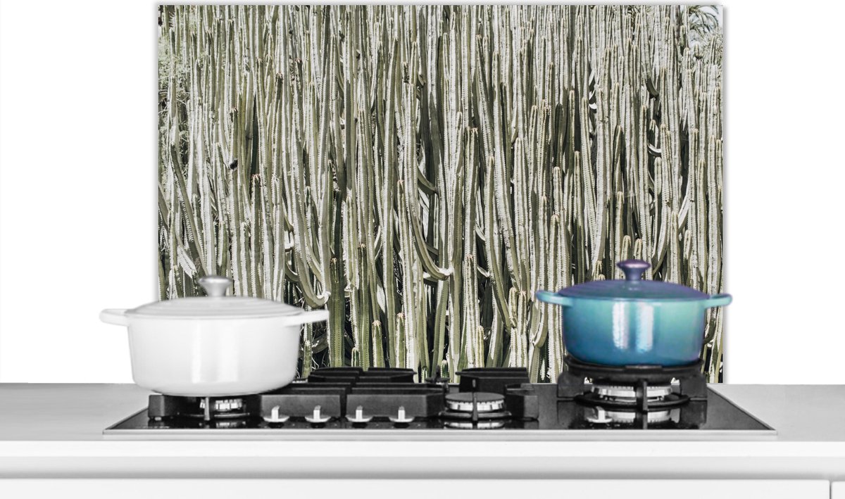 Spatscherm - Spatwand - Cactus - Natuur - Groen - Plant - Keuken decoratie - 80x55 cm