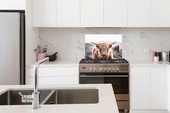 Spatscherm - Schotse Hooglander - Dieren - Koe - Natuur - Spatwand - Muurbeschermer - Achterwand keuken - Keuken - 60x40 cm - Spatscherm keuken
