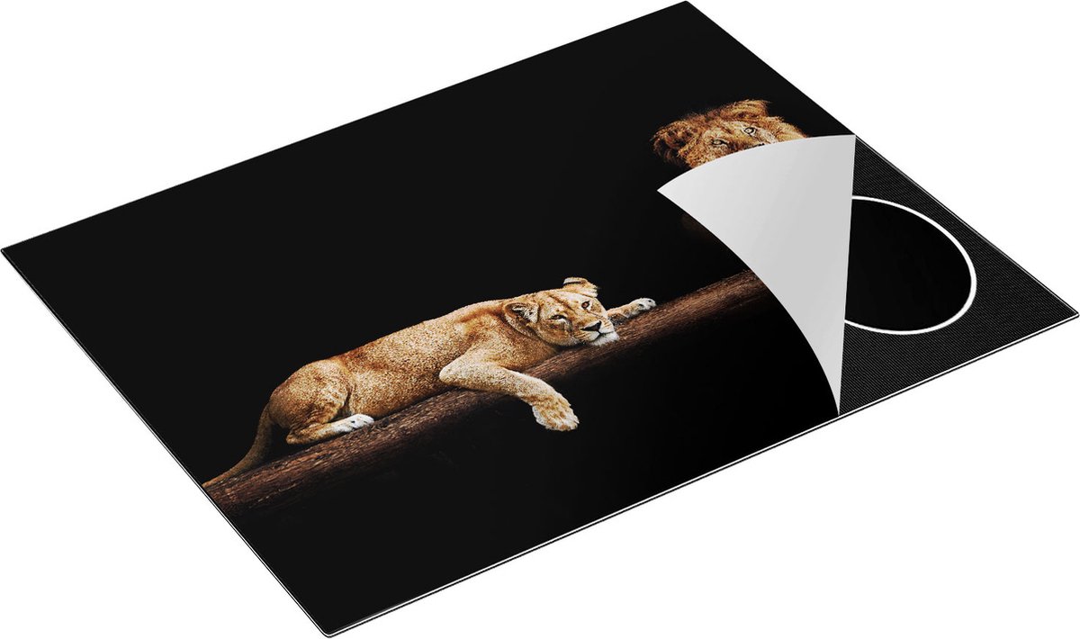 Chefcare Inductie Beschermer Leeuw en Leeuwin in het Donker - 77x59 cm - Afdekplaat Inductie - Kookplaat Beschermer - Inductie Mat