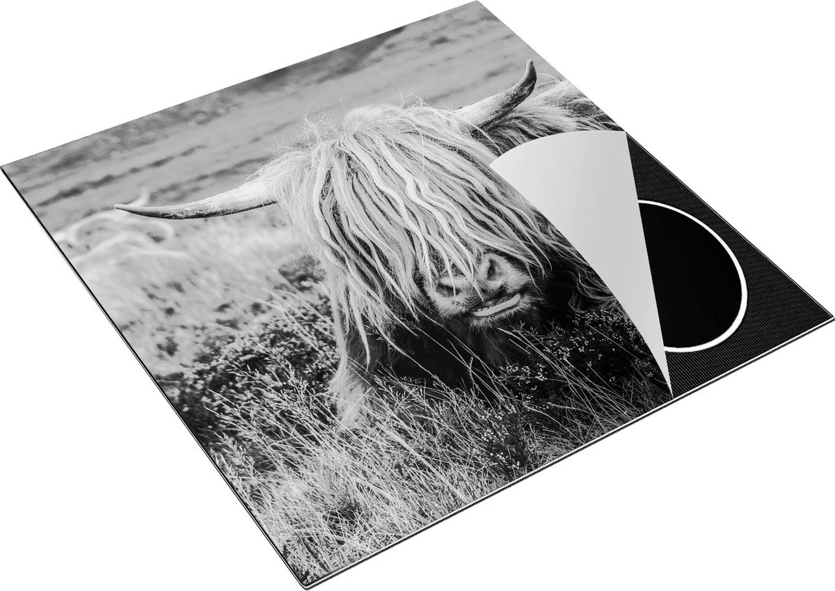 Chefcare Inductie Beschermer Harige Schotste Hooglander Koe in het Gras - Zwart Wit - 78x78 cm - Afdekplaat Inductie - Kookplaat Beschermer - Inductie Mat