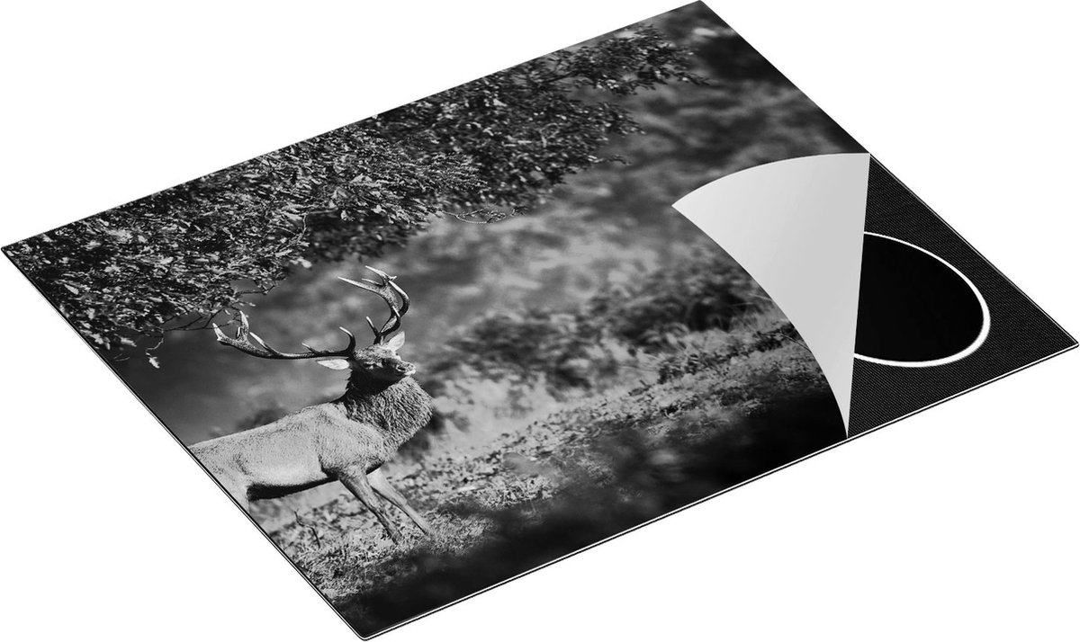 Chefcare Inductie Beschermer Hert onder een Boom in de Weide - Zwart Wit - 65x55 cm - Afdekplaat Inductie - Kookplaat Beschermer - Inductie Mat