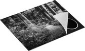 Chefcare Inductie Beschermer Voetpad in het Bos - Zwart Wit - 65x50 cm - Afdekplaat Inductie - Kookplaat Beschermer - Inductie Mat