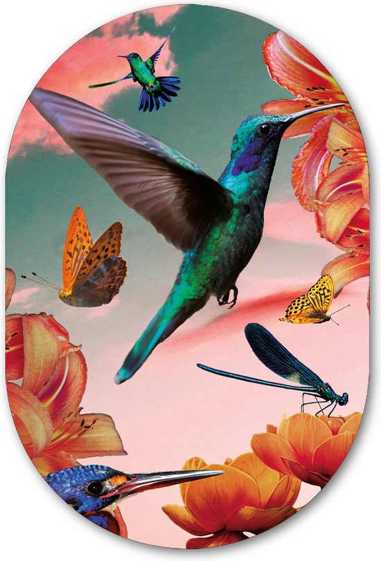 Muurovaal Kolibries met kleurrijke bloemen en vlinders - WallCatcher | Geborsteld Aluminium 100x150 cm | Ovalen schilderij | Wandovaal Hummingbirds with flowers