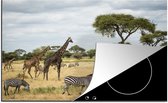 KitchenYeah® Inductie beschermer 76x51.5 cm - Giraffen en Zebras samen op de savannes van het Nationaal park Serengeti - Kookplaataccessoires - Afdekplaat voor kookplaat - Inductiebeschermer - Inductiemat - Inductieplaat mat